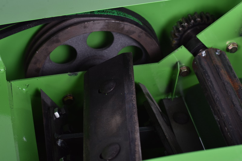 1733282933454862.jpg DSC_4538.JPG