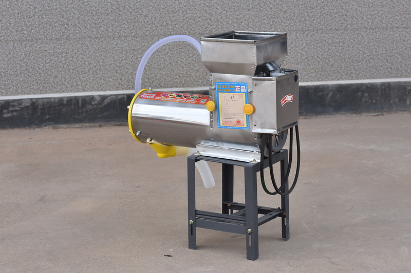 1733285813211495.jpg DSC_5137.JPG